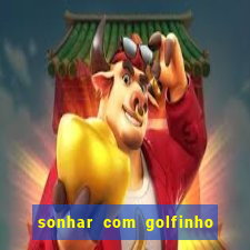 sonhar com golfinho jogo do bicho